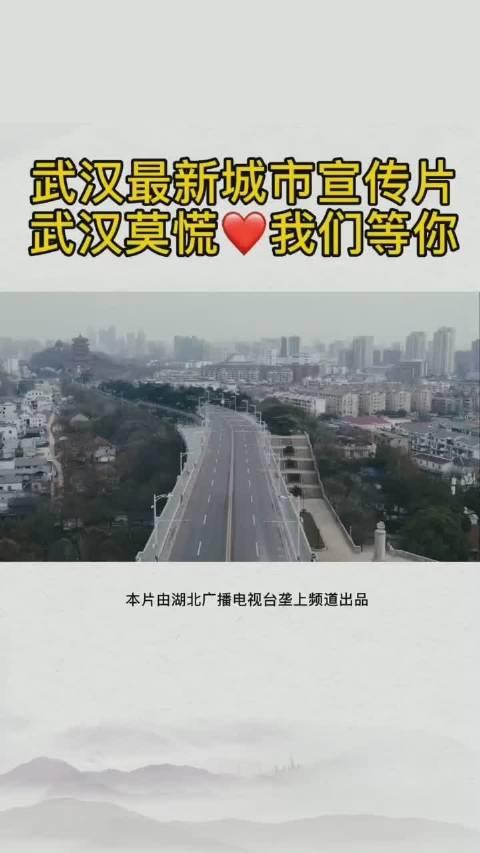 新城最新爆料新闻视频下载,最新爆料新闻视频深度解析